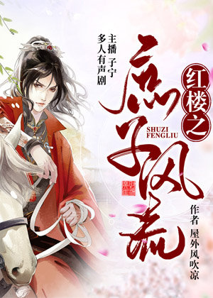 红楼之庶子风流多人有声剧 贾琮